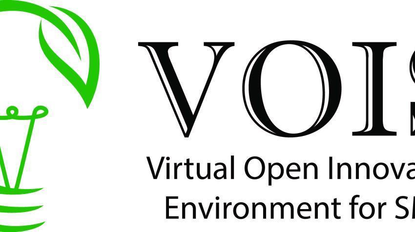 Virtual Open Innovation Environment for SMEs «VOIS», Erasmus+ ΚΑ2 VET