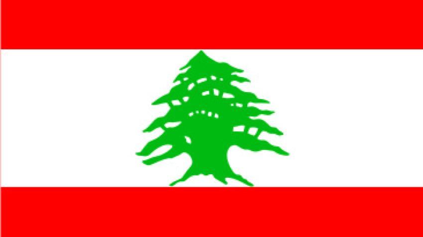 ΛΙΒΑΝΟΣ: Έρευνα αγοράς στον τομέα τροφίμων και ποτών 