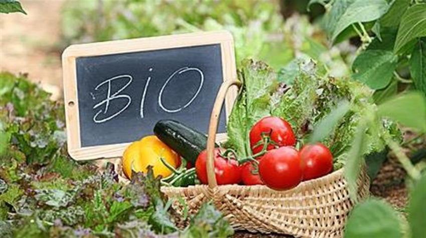 Τελωνειακές διαδικασίες εισαγωγής βιολογικών προϊόντων 