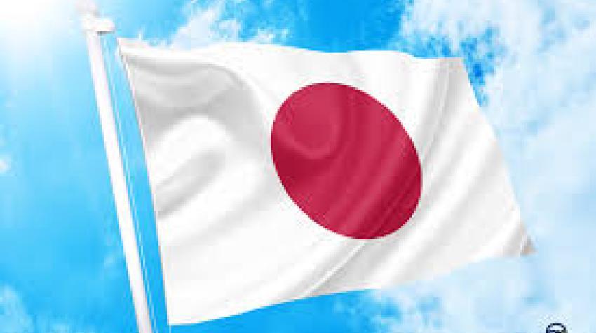 Έρευνα αγοράς για το ηλεκτρονικό εμπόριο στην Ιαπωνία.