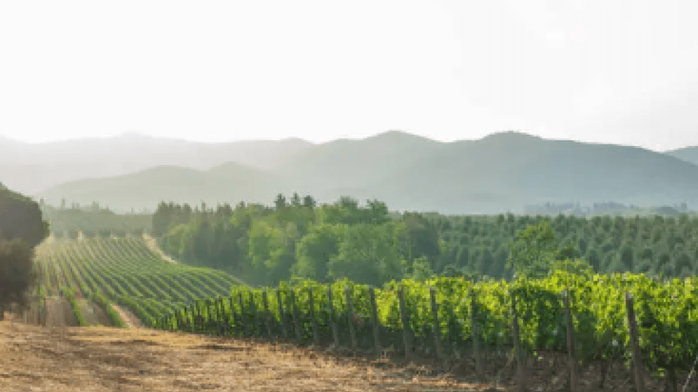 ΙΤΑΛΙΑ: Σταθερότητα στην αγροτική παραγωγή της Λομβαρδίας το 2024 παρά τις προκλήσεις