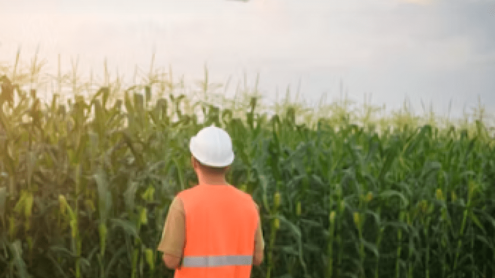 ΙΤΑΛΙΑ: Ενημέρωση σχετικά με τις επενδύσεις στην κάθετη γεωργία & την ανάπτυξη του Ιταλικού Αγροτεχνολογικού Τομέα (Agritech)